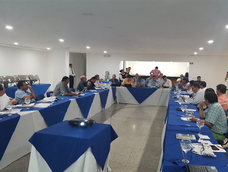 Valledupar realizará su Feria Equina Internacional