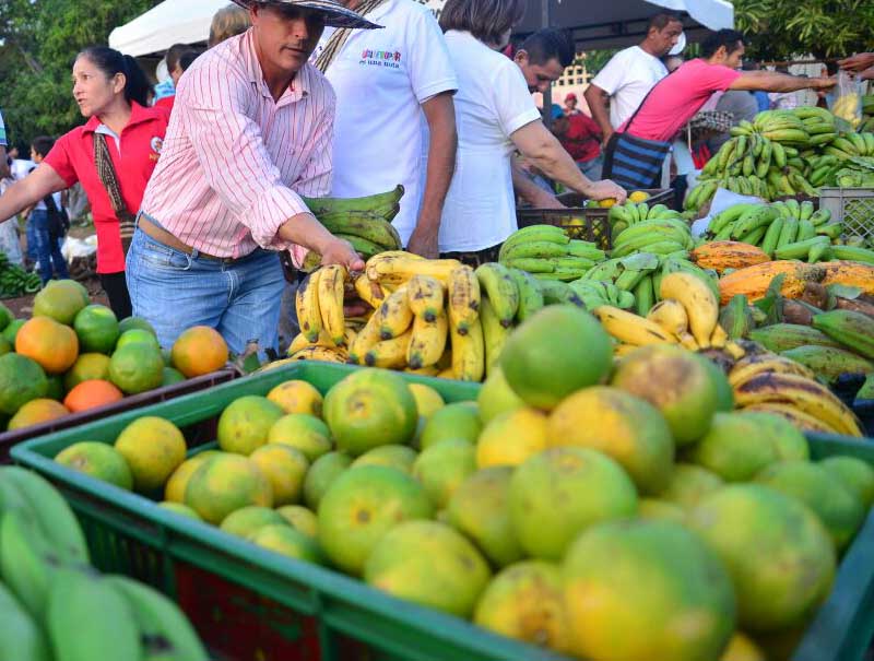Exitoso balance del segundo Mercado Campesino realizado en La Mesa