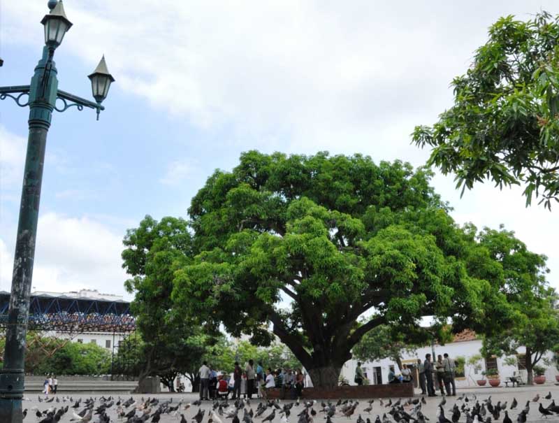 40% de los establecimientos turísticos en Valledupar son informales: Cámara de Comercio