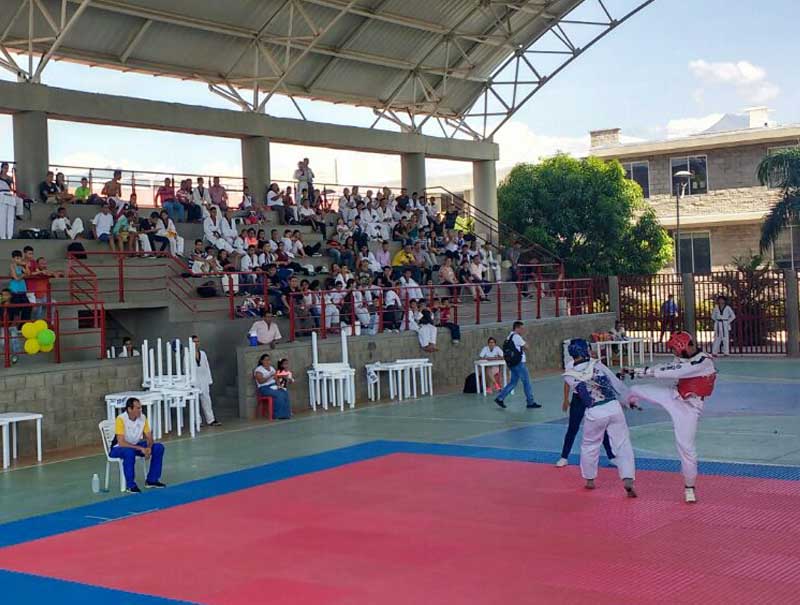 Se cumplió el II Campeonato Departamental De Taekwondo
