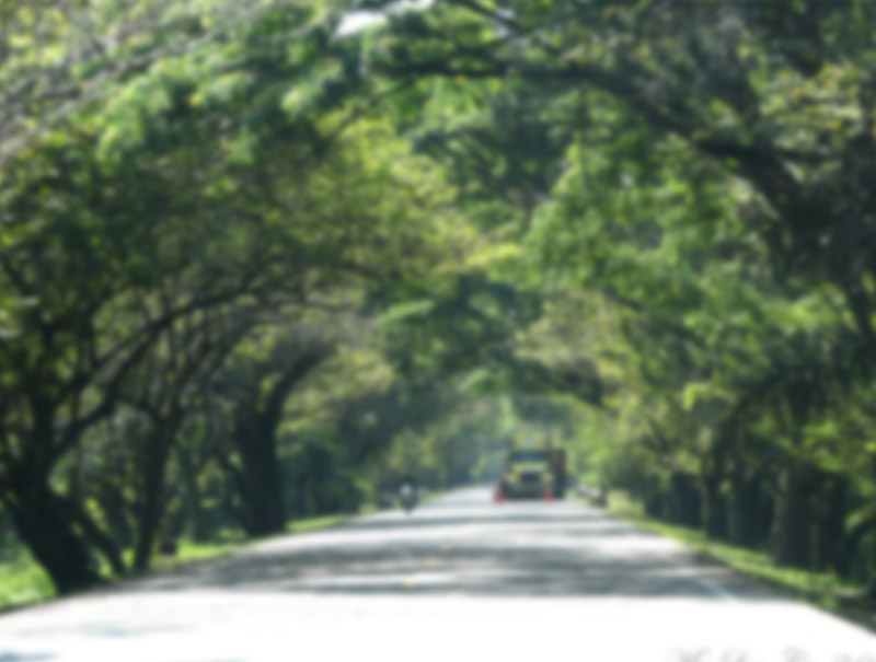 Accidente de tránsito dejó un muerto en la vía San Roque-La Paz