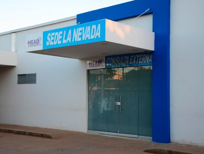 Abejas africanizadas picaron a varias personas en La Nevada