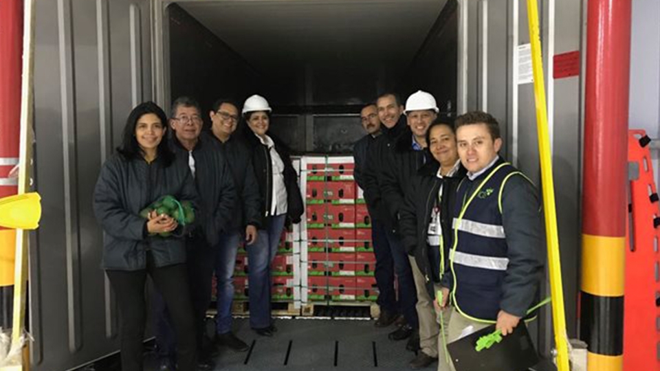Sale primer cargamento de aguacate hass a Estados Unidos