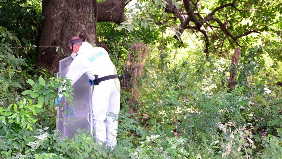 Hallan muerta a mujer samaria en zona rural de Valledupar