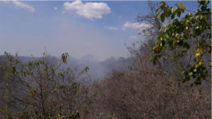 Incendios forestales del sur del Cesar dejan sólo rastrojos quemados