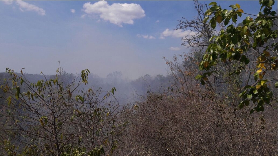 Incendios forestales del sur del Cesar dejan sólo rastrojos quemados