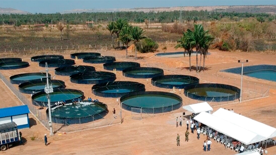 Nace una alternativa productiva y sostenible en El Paso, Cesar