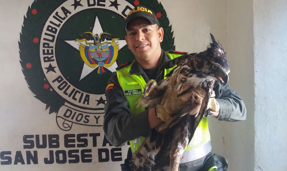 Halcón es rescatado por patrullero en San José de Oriente, Cesar