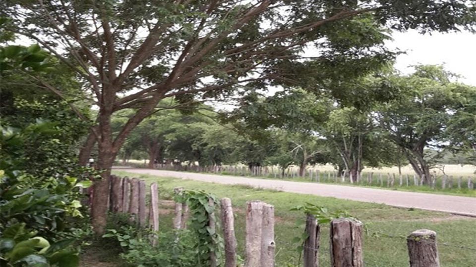 En Los Venados no denuncian a delincuentes, por ser conocidos