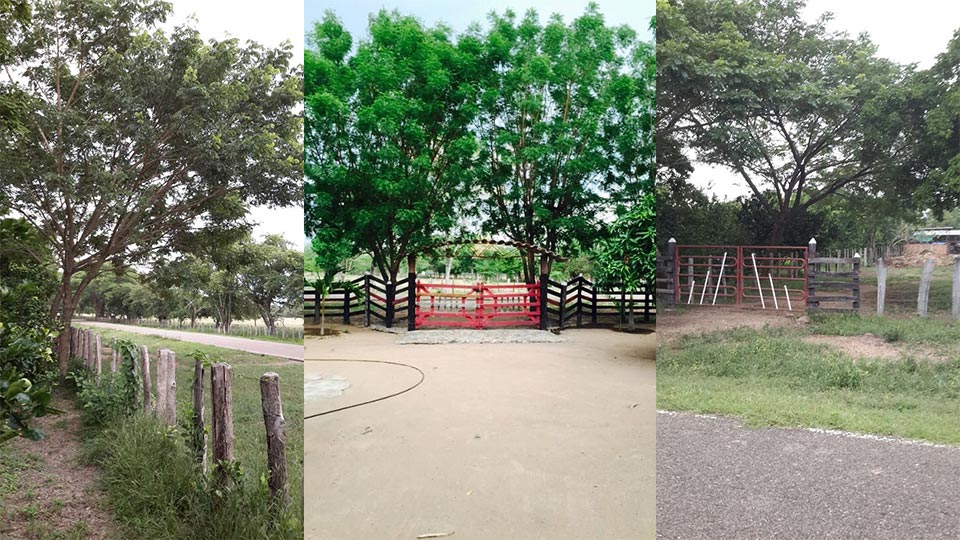 Corregimiento de Los Venados, en Valledupar, sitiado por los delincuentes