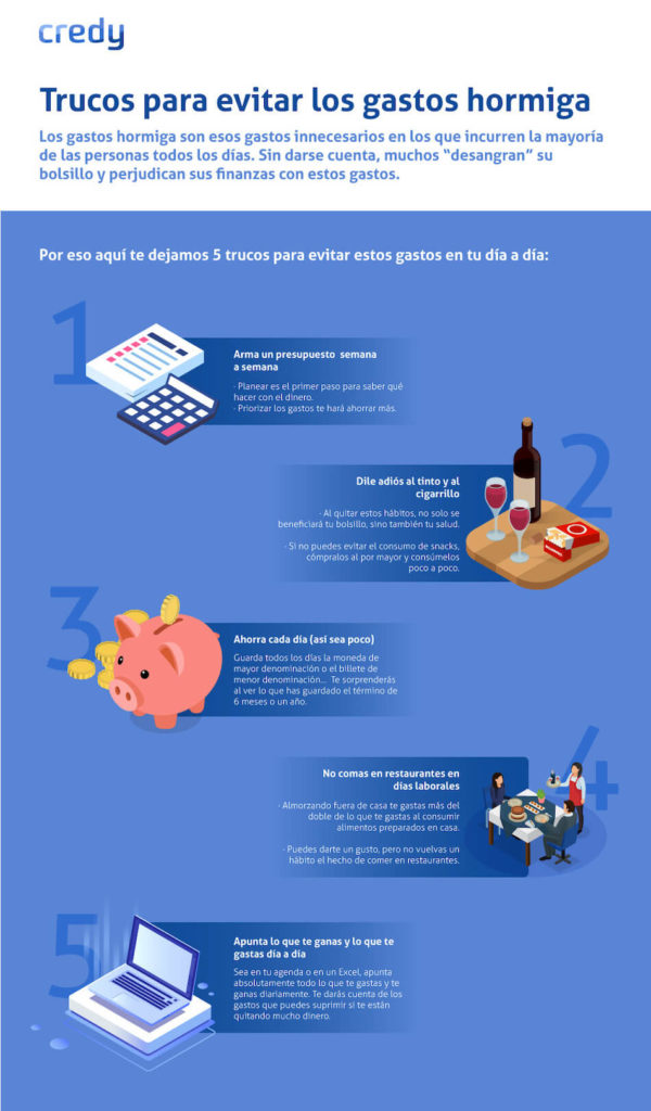 credy-infografía