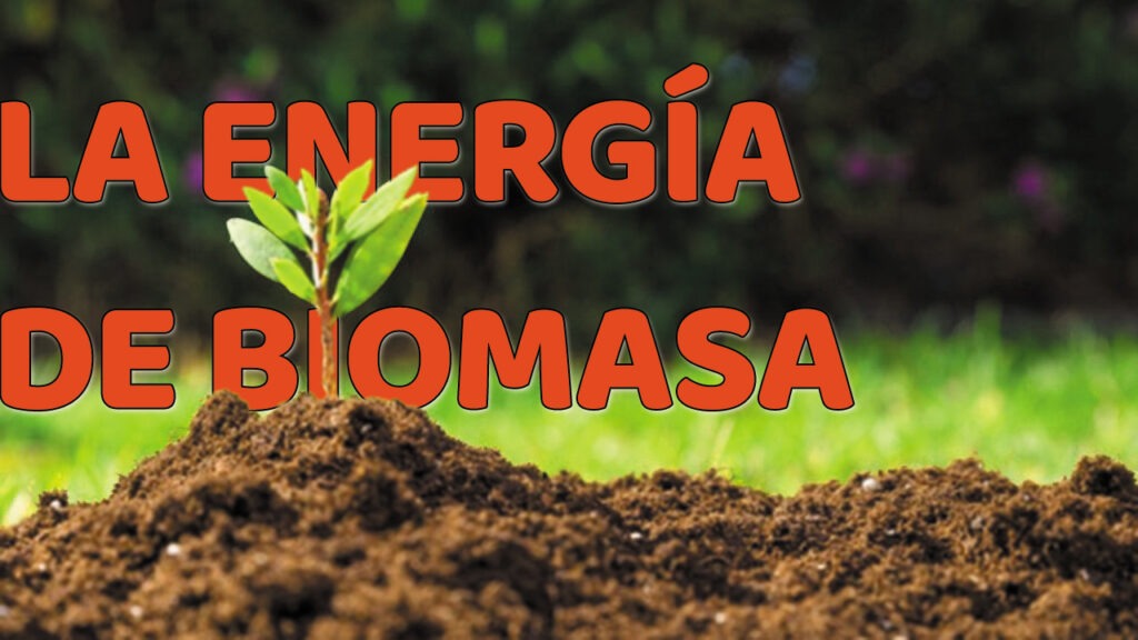 De qué trata la energía de biomasa